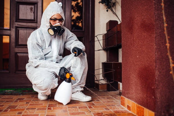 Reliable Wasp Removal contractor in Port Neches, TX by Show Me Pest Control